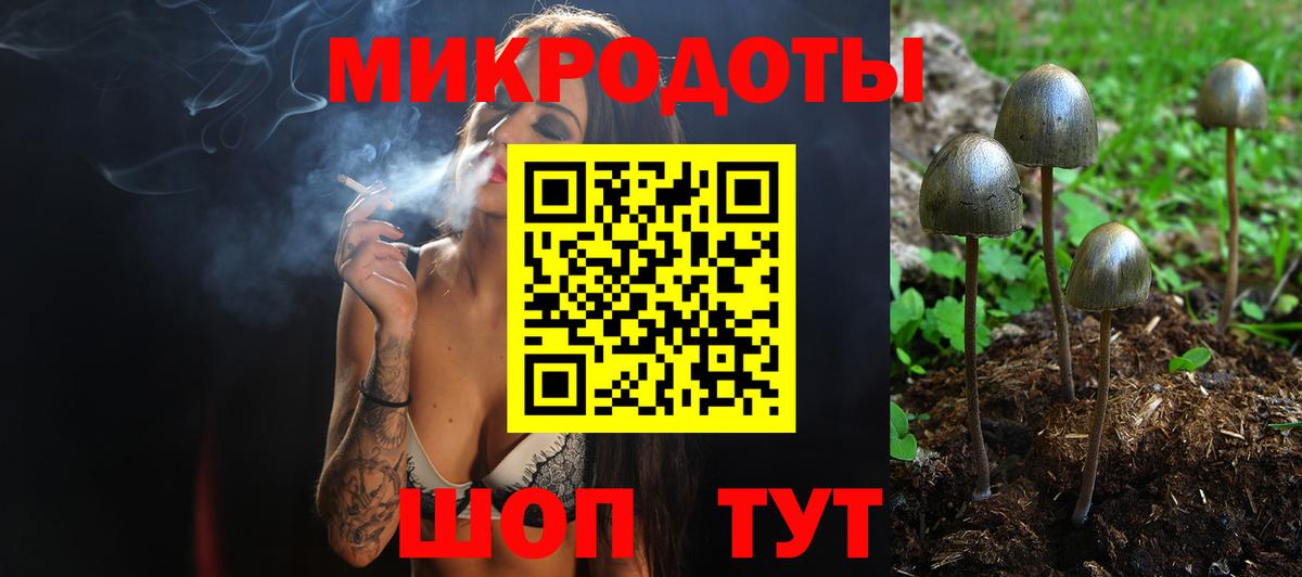 Тайшет  Псилоцибиновые грибы ЛСД  Псилоцибиновые грибы MAGIC MUSHROOMS  где купить наркоту  Вход с VPN 